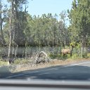 arizona from kells camera - IMG_3076